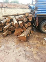 High Durable Teak Wood Logs