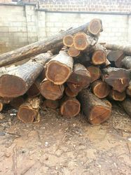 Robustness Teak Wood Logs