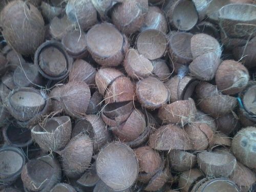 Coconut Shells