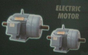 Electric Motor