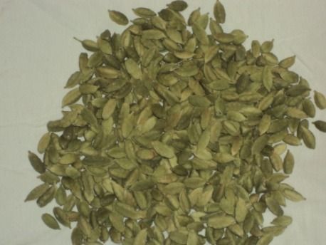 Green Cardamom