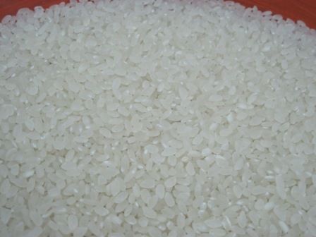 5% Broken Vietnamese Japonica Round Rice