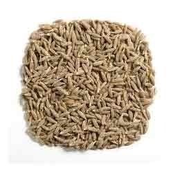 Cumin Seeds