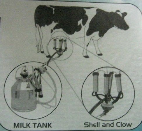 Auto Milking Machine For Dairy