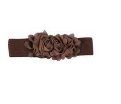 Brown Wide Elastic Belt