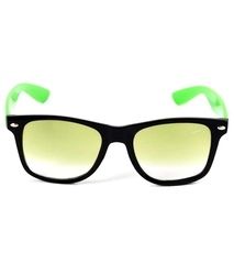 Attractive Wayfarer Sunglasses