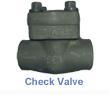 Check Valve