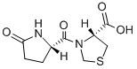 Pidotimod (121808-62-6)