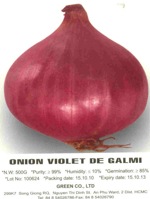 Onion Violet De Galmi Seed