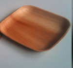 Areca Leaf Square Plate