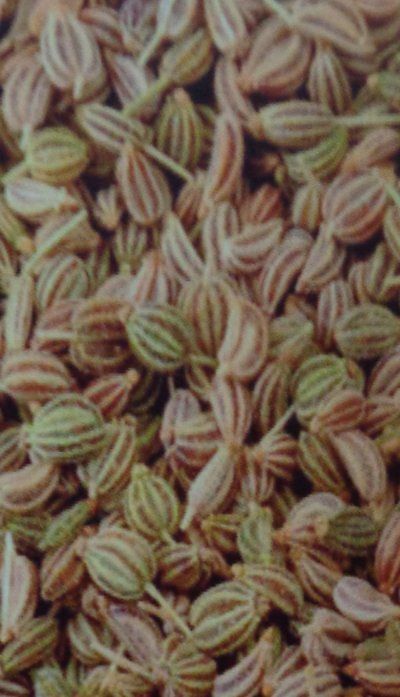 Carom Seeds