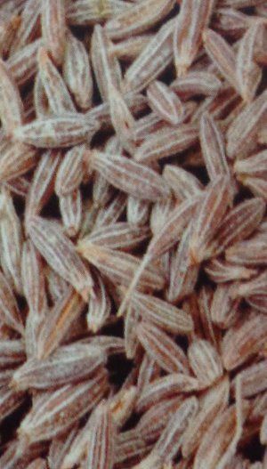 Cumin Seeds