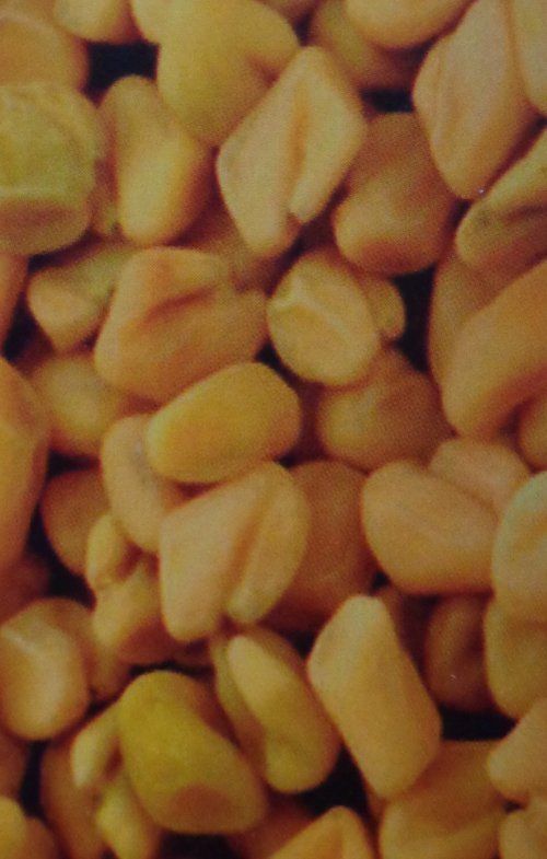 Fenugreek Seeds