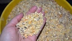 Mix Cattle Feed