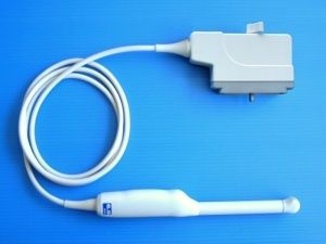 R10 Endocavity Ultrasound Transducer Probe