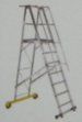 Warehouse Platform Ladder