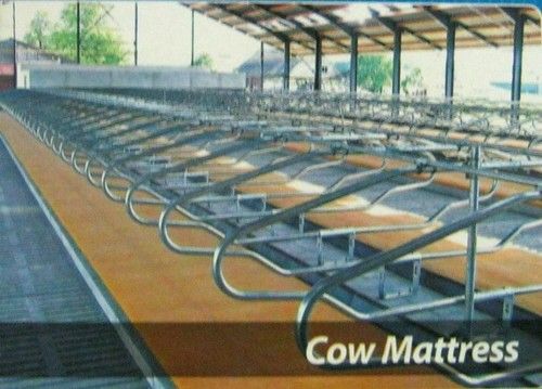 Cow Mattress