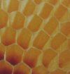 Glass Fiber Honeycomb