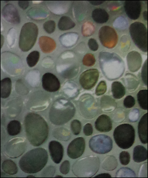 डेकोरेटिव विंडो फिल्म्स (GLC-1021)