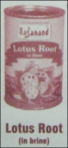 Lotous Root