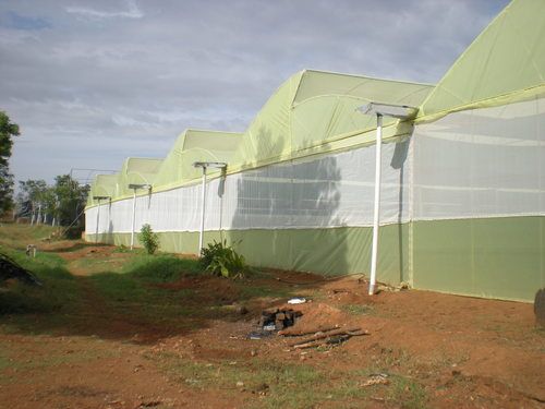 Greenhouse Structures