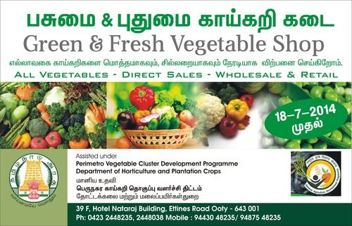 BGM Fresh Vegetables
