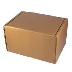 Corrugated Reusable Box