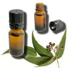 Eucalyptus Oil