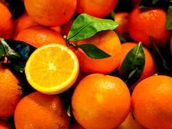 Highly Nutritious Fresh Orange