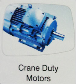 Crane Duty Motors