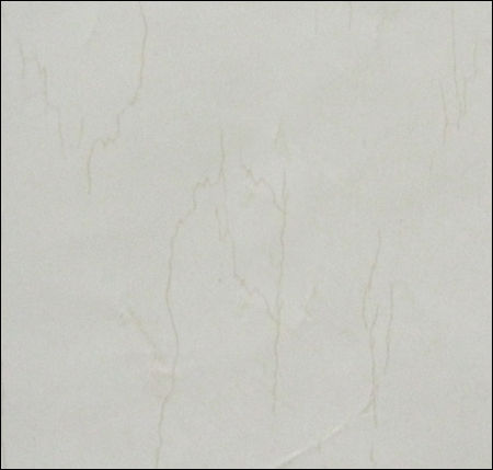 Ivo Regal Series Vitrified Tiles (Ivr 256)