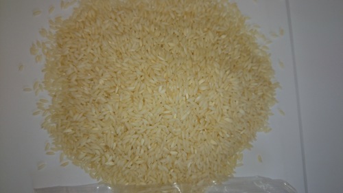 Sona Masuri Steamed Rice