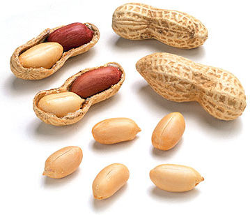 Peanut/Groundnut