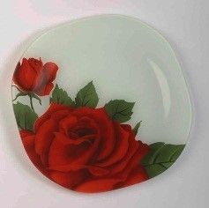 dinner plate