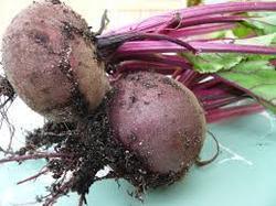 Beetroot