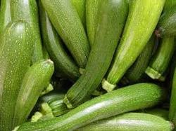 Green Zucchini