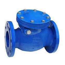 Iron Swing Check Valve