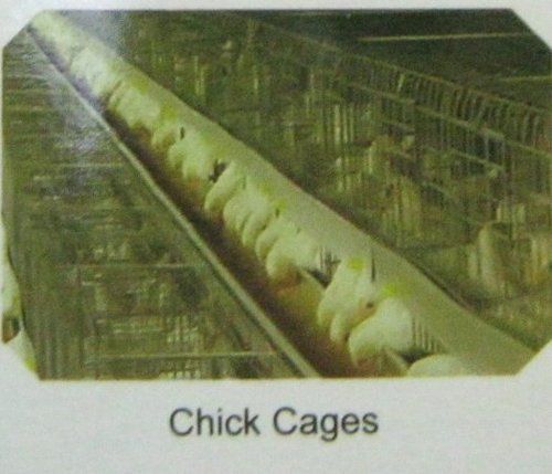 Chick Cages