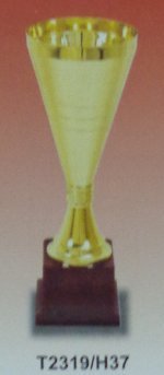 Metal Trophies (T2319/H37) - Metal & Wood, 250-300 mm, Gold | Award Recognition, Polished Finish, Customizable