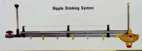 Nipple Drinking System