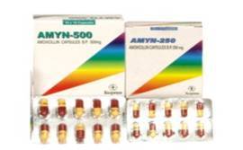 AMYN (Oral Suspension 125 mg/5ml) (Amoxicillin Oral Suspension)