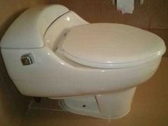 One Piece Water Closet