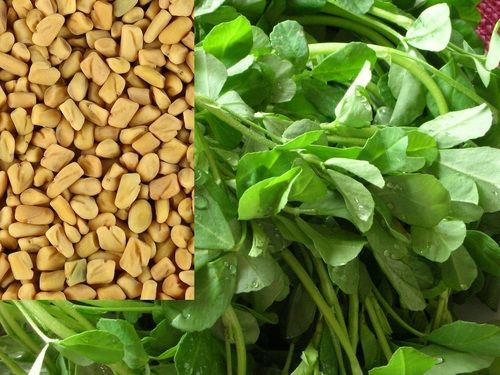 Fenugreek (4-hydroxyisoleucine 40% , 95%)