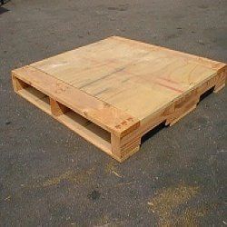 Plywood Pallets