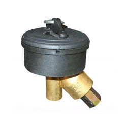 Body Mounted CNG Filler Valve