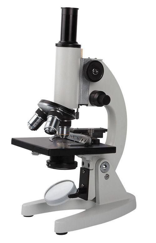 Educational Microscope