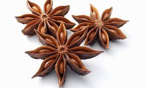 Star Anise