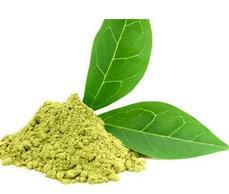 Green Tea Extract