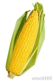 Maize