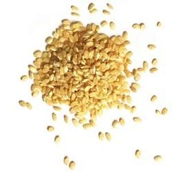 Rice Grain